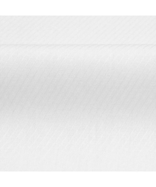 TOKYO SHIRTS(TOKYO SHIRTS)/【透け防止・大きいサイズ】 形態安定 レギュラーカラー 長袖 ワイシャツ/img05