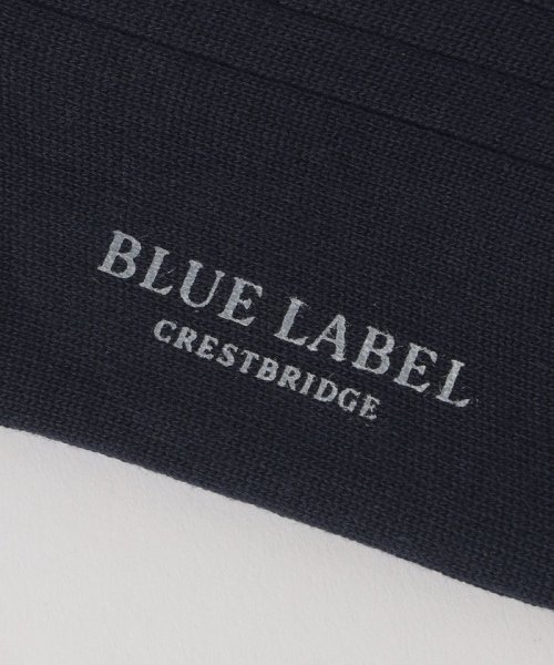 BLUE LABEL CRESTBRIDGE(BLUE LABEL CRESTBRIDGE)/刺繍ロゴソックス/img08