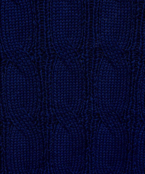 ケーブル編み チルデンベスト ケーブル編み チルデンベスト W1275115739(9724円)