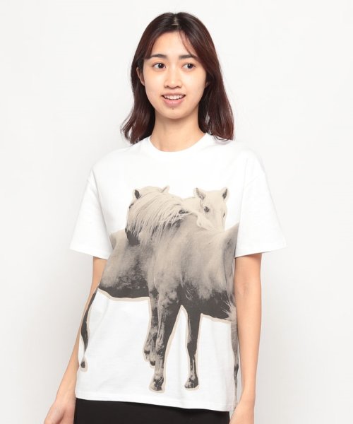 BENETTON (women)(ベネトン（レディース）)/クルーネックフロント馬プリント半袖Tシャツ・カットソー/img02