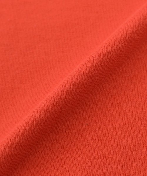 MACKINTOSH PHILOSOPHY(マッキントッシュ フィロソフィー)/バッキンガムベア ワイドリブ半袖Tシャツ/img15