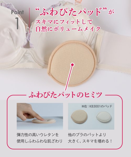 ウイング　ブラジャー　【スキマフィットブラ】　バストとカップのすきまにフィット　（A~B) 人気・おすすめ｜使いやすい・旅行におすすめ 品質保証 全国発送 日本国内発送・最短翌日お届け