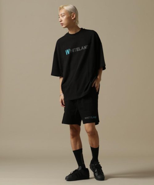 LHP(エルエイチピー)/WEB&DEPOT限定/WHITELAND/ホワイトランド/OWL/COLOR LOGO SWT SHORTS/カラーロゴショーツ/img02