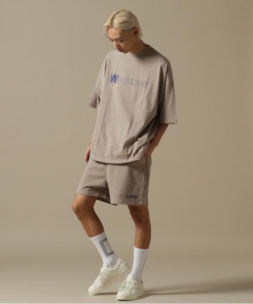 LHP(エルエイチピー)/WEB&DEPOT限定/WHITELAND/ホワイトランド/OWL/COLOR LOGO SWT SHORTS/カラーロゴショーツ/img28