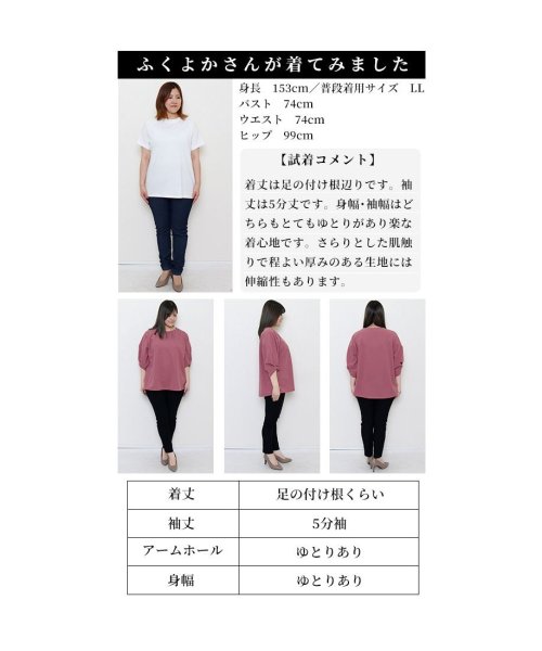 Sawa a la mode(サワアラモード)/レディース 大人 上品 ふわり膨らむバラ袖の大人カットソー/img38