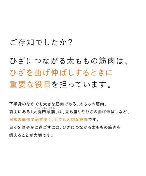 SIXPAD Knee Fit Lサイズ ポリウレタン Knee Fit 大腿四頭筋だいたいしとうきん 人生100年時代を またはその疑いがある方