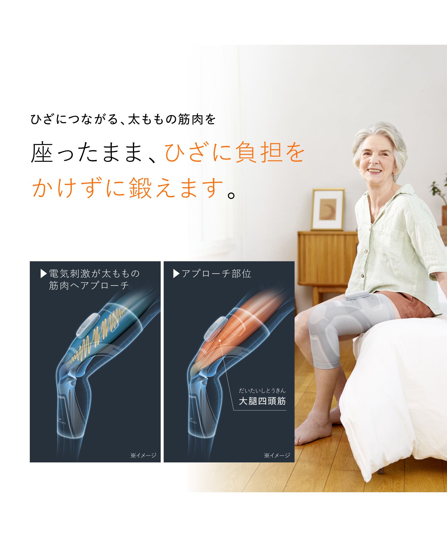 最 安値 価格スポーツ用品 - SIXPAD Knee Fit Lサイズ