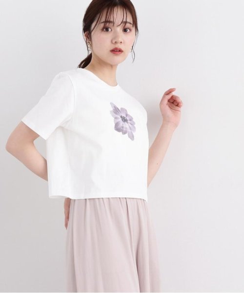 PROPORTION BODY DRESSING(プロポーション　ボディドレッシング)/ショート丈フラワーフォトTシャツ/img09