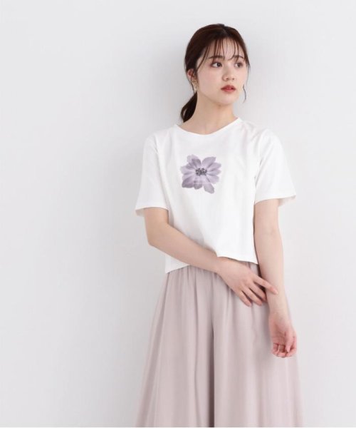 PROPORTION BODY DRESSING(プロポーション　ボディドレッシング)/ショート丈フラワーフォトTシャツ/img10