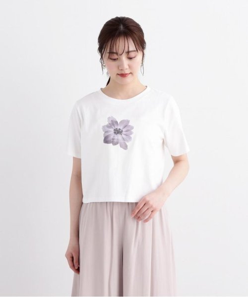 PROPORTION BODY DRESSING(プロポーション　ボディドレッシング)/ショート丈フラワーフォトTシャツ/img14