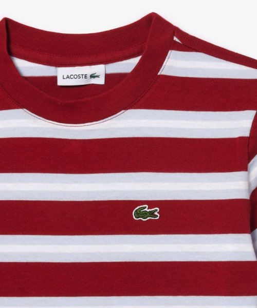 LACOSTE KIDS(ラコステ　キッズ)/BOYS ボーダーTシャツ/img07