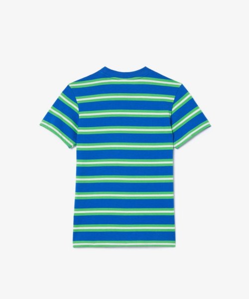 LACOSTE KIDS(ラコステ　キッズ)/BOYS ボーダーTシャツ/img10