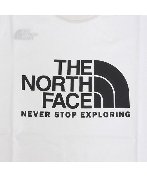 THE NORTH FACE(ザノースフェイス)/THE NORTH FACE ノースフェイス COTTON BIG LOGO EX Tシャツ カジュアル コットン トップス 半袖 Lサイズ/img05