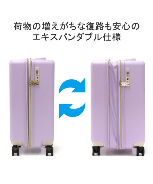 ジュエルナローズ スーツケース Jewelna Rose 機内持ち込み キャリーケース 可愛い 拡張 36L 44L 2泊3 旅行 TSAロック 05201 