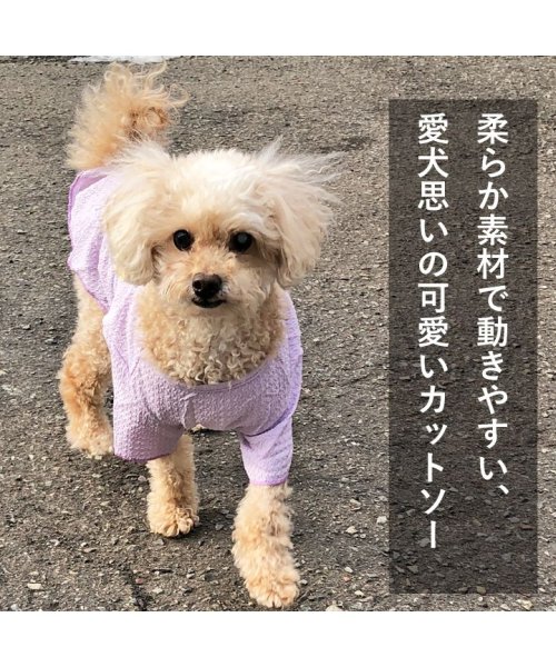 HAPPY DOG!!(はっぴーDOG！！)/犬 服 犬服 いぬ 犬の服 着せやすい カットソー Tシャツ トイプードル Dカン 袖あり/img01