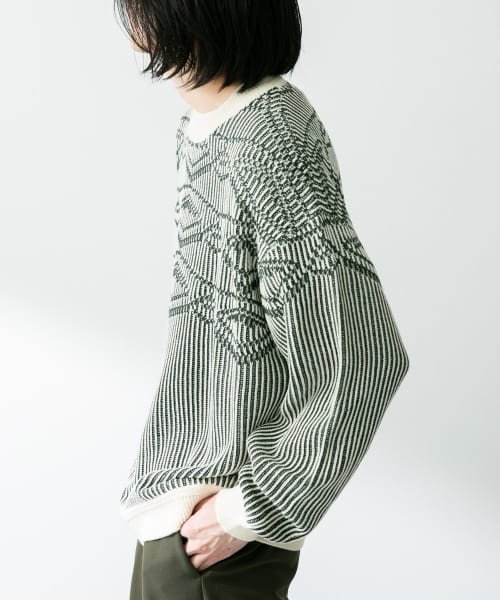 URBAN RESEARCH Sonny Label(アーバンリサーチサニーレーベル)/ジャガードクルーネックニットプルオーバー/img09