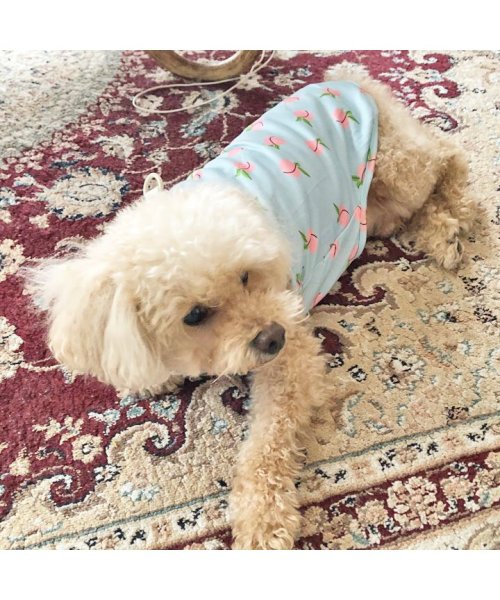 HAPPY DOG!!(はっぴーDOG！！)/犬 服 犬服 いぬ 犬の服 着せやすい タンクトップ トイプードル Dカン 袖なし ノースリーブ もも ピーチ 桃/img04