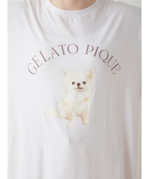 gelato pique(gelato pique)/DOG柄ワンポイントTシャツ/img17