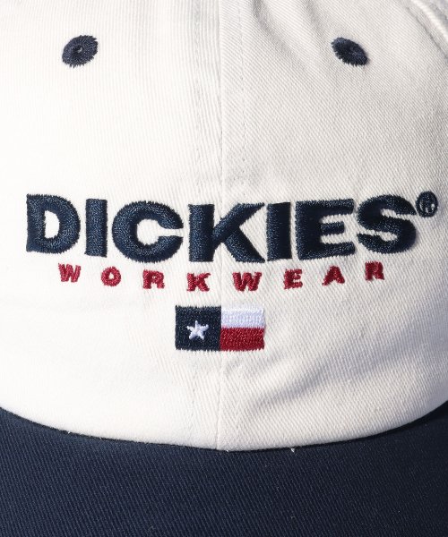 Dickies(Dickies)/Dickies EX BIO WASH LOWCAP/img09