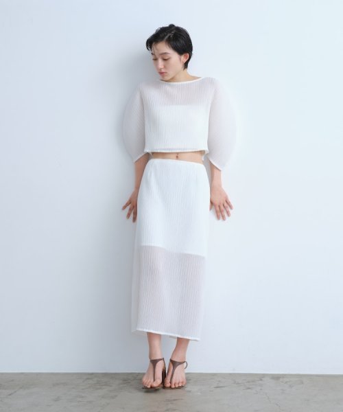 DRESSTERIOR(ドレステリア)/CODE A｜sheer pleats tops/img02