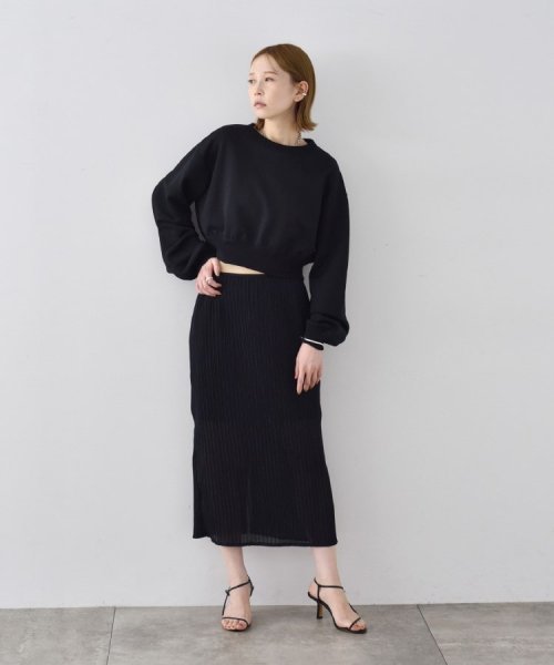 DRESSTERIOR(ドレステリア)/CODE A｜sheer pleats skirt/img15