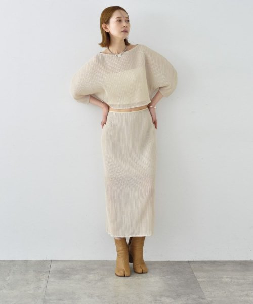 DRESSTERIOR(ドレステリア)/CODE A｜sheer pleats skirt/img19