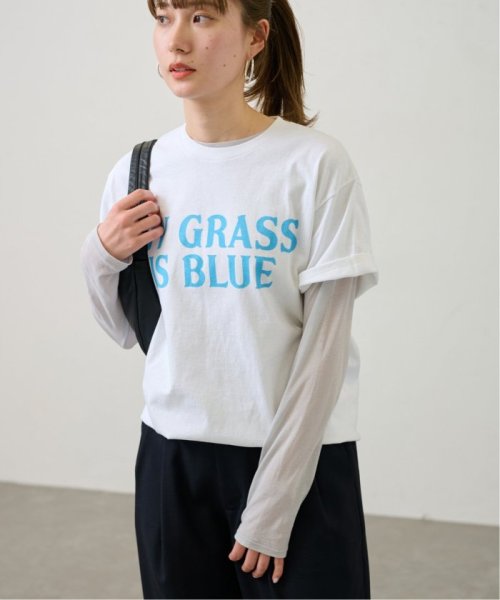 FRAMeWORK(フレームワーク)/【BLUESCENTRIC / ブルースセントリック】 MY GRASS IS BLUE SS TEE/img14