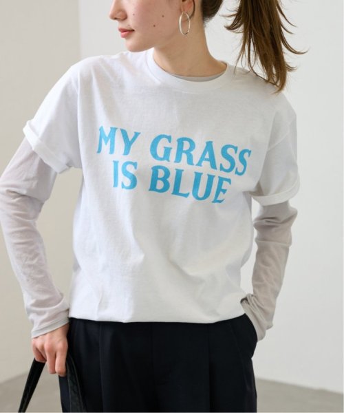 FRAMeWORK(フレームワーク)/【BLUESCENTRIC / ブルースセントリック】 MY GRASS IS BLUE SS TEE/img15