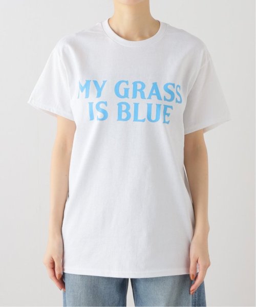 FRAMeWORK(フレームワーク)/【BLUESCENTRIC / ブルースセントリック】 MY GRASS IS BLUE SS TEE/img18