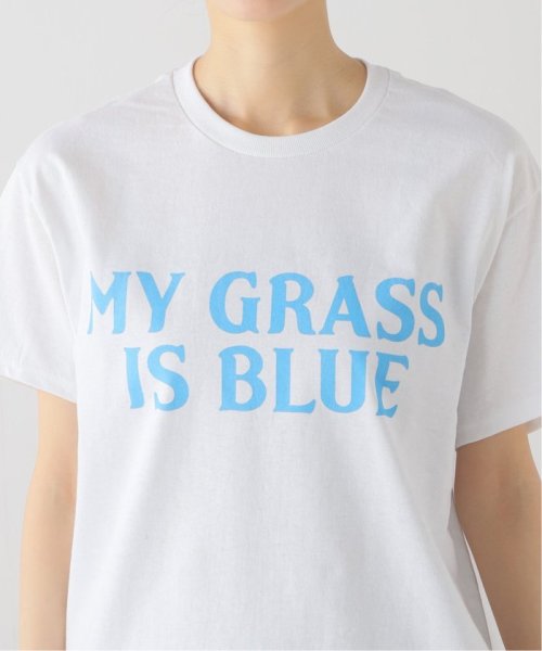 FRAMeWORK(フレームワーク)/【BLUESCENTRIC / ブルースセントリック】 MY GRASS IS BLUE SS TEE/img21