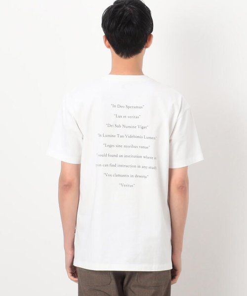  COMME CA COMMUNE(コムサコミューン)/ＵＳＡコットン引き揃え天竺 バックプリントＴシャツ/img10