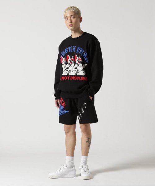 TAIN DOUBLE PUSH/タインダブルプッシュ/別注KNIT CREW DOUBLE TAIN