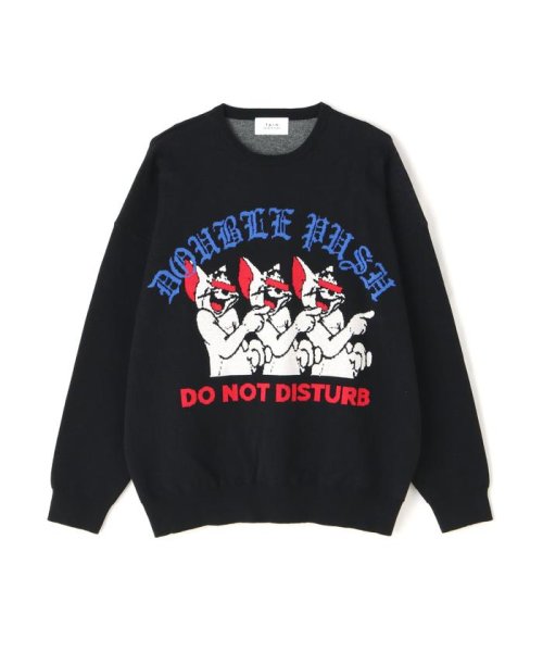 TAIN DOUBLE PUSH/タインダブルプッシュ/別注KNIT CREW DOUBLE TAIN