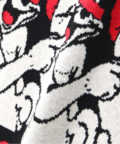 TAIN DOUBLE PUSH/タインダブルプッシュ/別注KNIT CREW DOUBLE TAIN