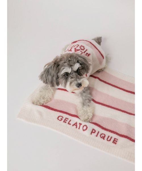 GELATO PIQUE CAT＆DOG(GELATO PIQUE CAT＆DOG)/【CAT&DOG】【販路限定商品】ストロベリーボーダーブランケット/img01