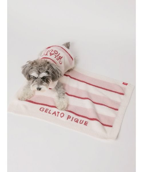 GELATO PIQUE CAT＆DOG(GELATO PIQUE CAT＆DOG)/【CAT&DOG】【販路限定商品】ストロベリーボーダーブランケット/img02