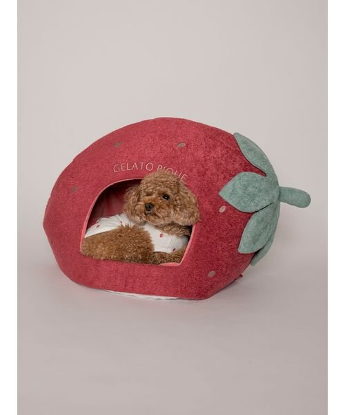 【CAT&DOG】【販路限定商品】スムーズィー ストロベリーハウス スムーズィー SMOOTHIE 予めご了承ください