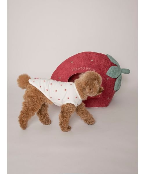 【CAT&DOG】【販路限定商品】スムーズィー ストロベリーハウス スムーズィー SMOOTHIE 予めご了承ください