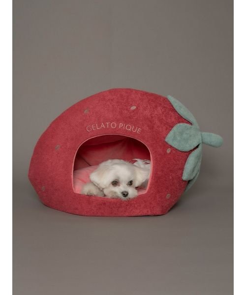 GELATO PIQUE CAT＆DOG(GELATO PIQUE CAT＆DOG)/【CAT&DOG】【販路限定商品】スムーズィー ストロベリーハウス/img07