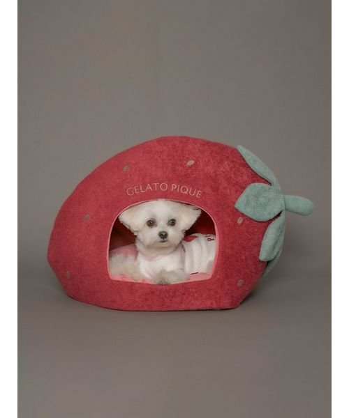 GELATO PIQUE CAT＆DOG(GELATO PIQUE CAT＆DOG)/【CAT&DOG】【販路限定商品】スムーズィー ストロベリーハウス/img08