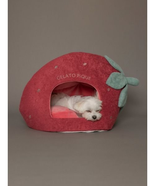 GELATO PIQUE CAT＆DOG(GELATO PIQUE CAT＆DOG)/【CAT&DOG】【販路限定商品】スムーズィー ストロベリーハウス/img09