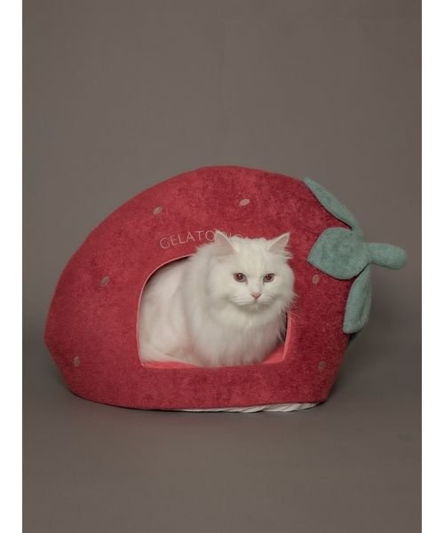 【CAT&DOG】【販路限定商品】スムーズィー ストロベリーハウス スムーズィー SMOOTHIE 予めご了承ください