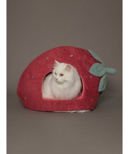 【CAT&DOG】【販路限定商品】スムーズィー ストロベリーハウス スムーズィー SMOOTHIE 予めご了承ください