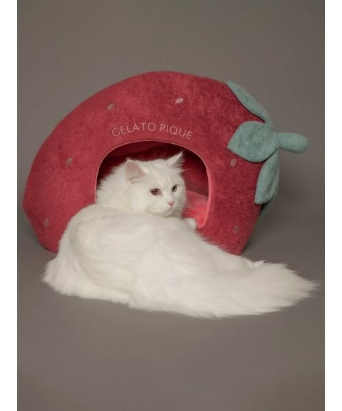 【CAT&DOG】【販路限定商品】スムーズィー ストロベリーハウス スムーズィー SMOOTHIE 予めご了承ください