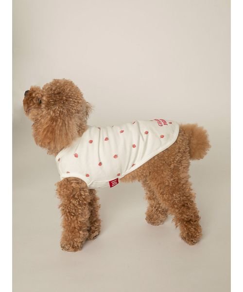 GELATO PIQUE CAT＆DOG(GELATO PIQUE CAT＆DOG)/【CAT&DOG】【販路限定商品】ストロベリー柄プルオーバー/img07