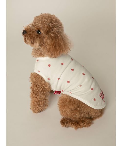 GELATO PIQUE CAT＆DOG(GELATO PIQUE CAT＆DOG)/【CAT&DOG】【販路限定商品】ストロベリー柄プルオーバー/img08