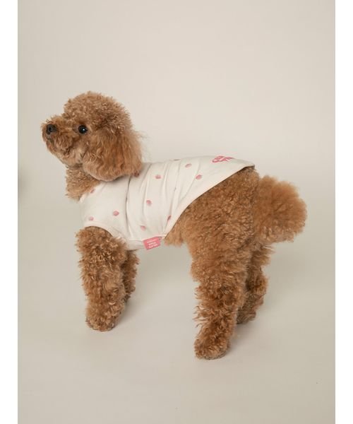 GELATO PIQUE CAT＆DOG(GELATO PIQUE CAT＆DOG)/【CAT&DOG】【販路限定商品】ストロベリー柄プルオーバー/img15