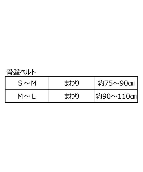 s.a.gear(エスエーギア)/コツバンベルトM/img04