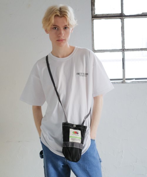 FRUIT OF THE LOOM(フルーツオブザルーム)/FRUIT OF THE LOOM/フルーツオブザルーム　NYLON SHOULDERBAG Ssize / ミニバッグ ショルダー コンパクト ナイロン /img01