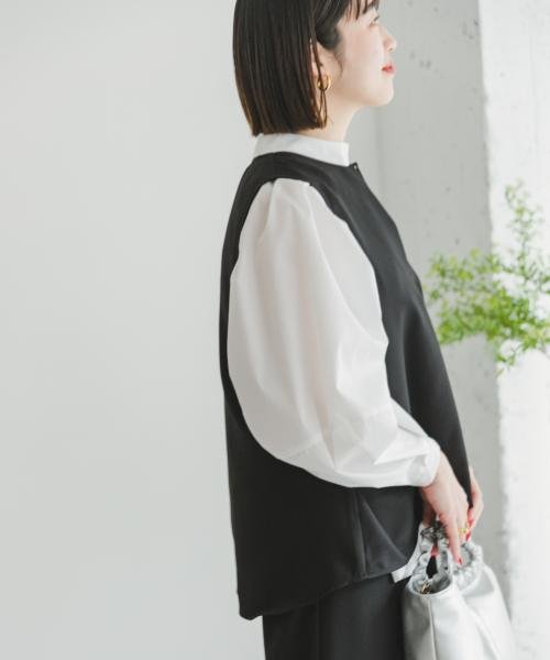 ITEMS URBANRESEARCH(アイテムズ アーバンリサーチ（レディース）)/ハイネックブラウス/img11